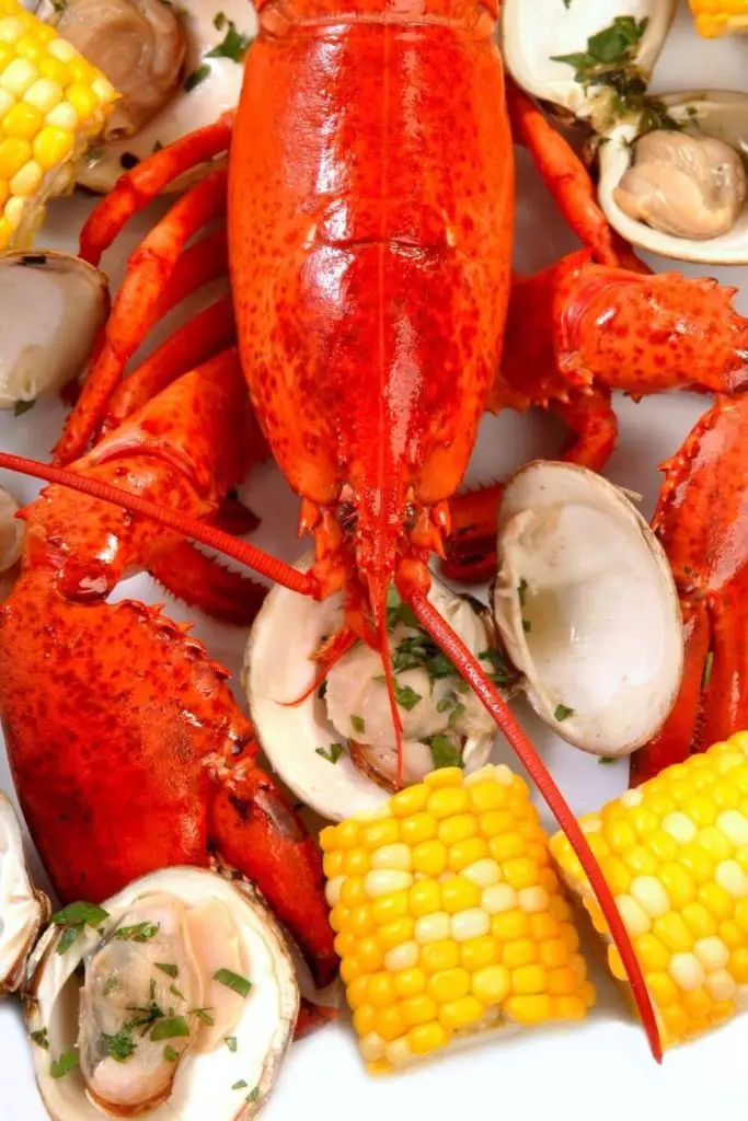 Flatlay photo of a fresh steamed lobster, clams, and corn on the cob.