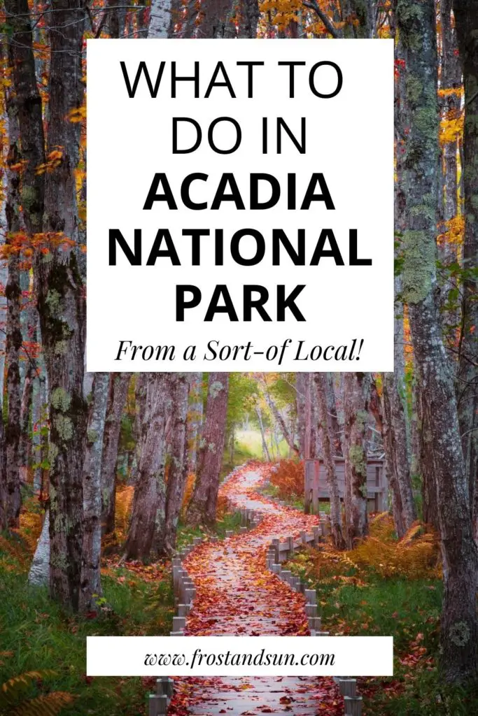 Photo of a wooden trail through a forest in the Autumn season with red and orange leaves on the ground. Text overlay reads "What to Do in Acadia National Park From a Sort-of Local."