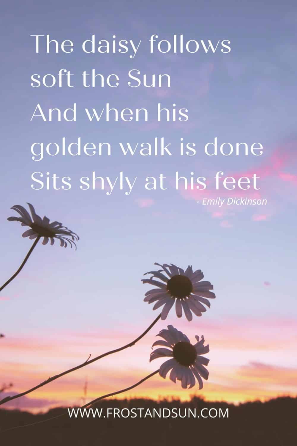 120+ Sunset Captions & Quotes for Instagram