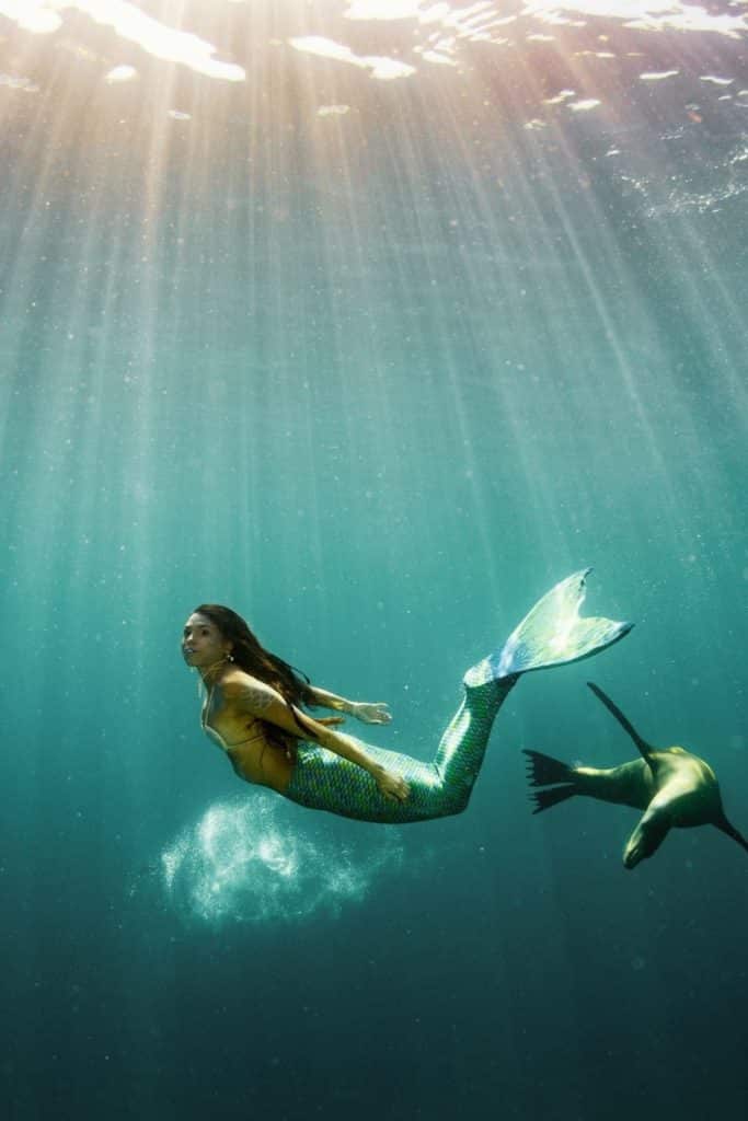 Photo of a mermaid swimming in the ocean next to a seal with sunrays beaming down toward her.