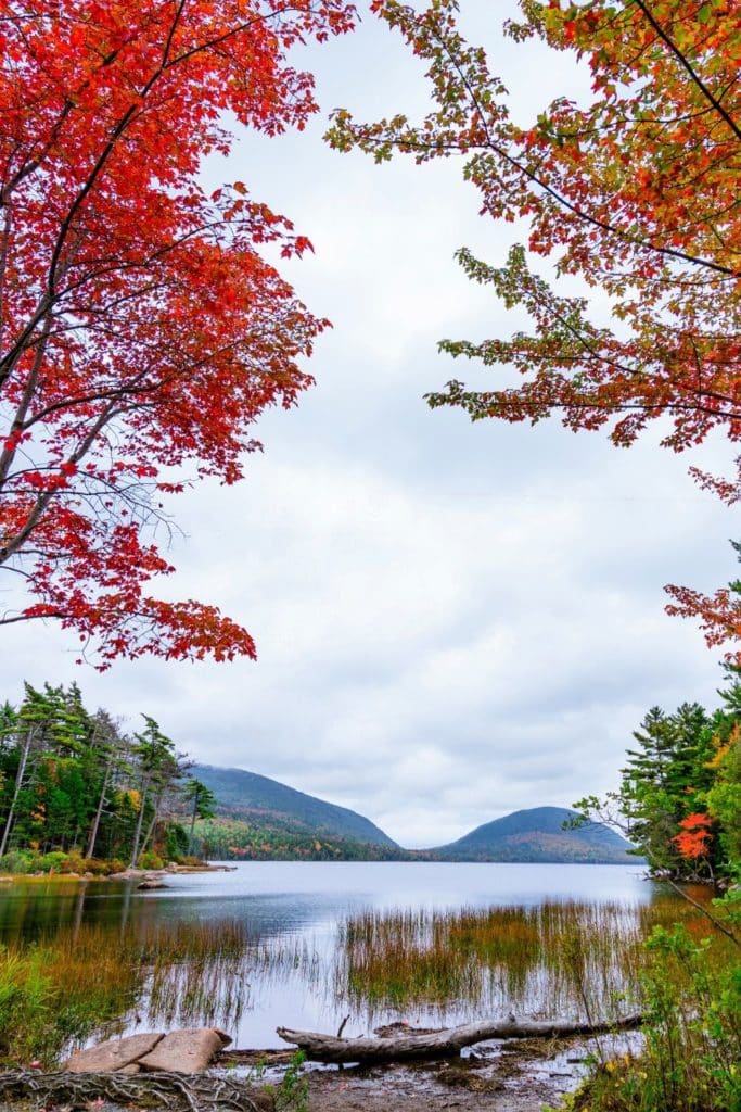 Photo of the Bubble Mountains from across a pond with red trees framing the photo.