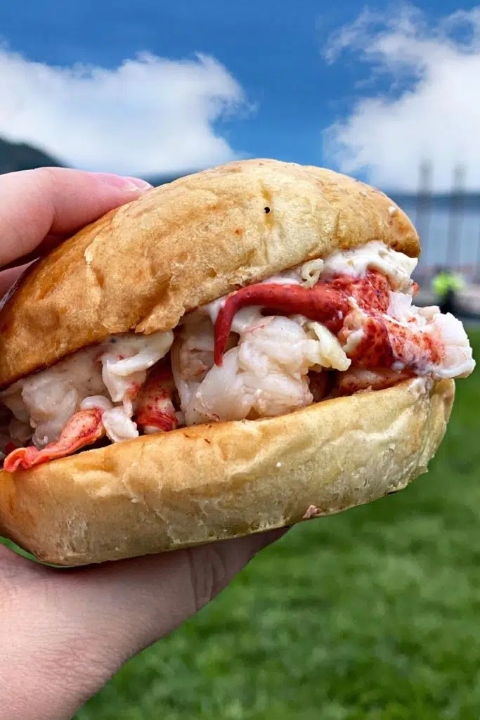 Closeup of a fresh lobster roll from The Stadium in Bar Harbor, ME.