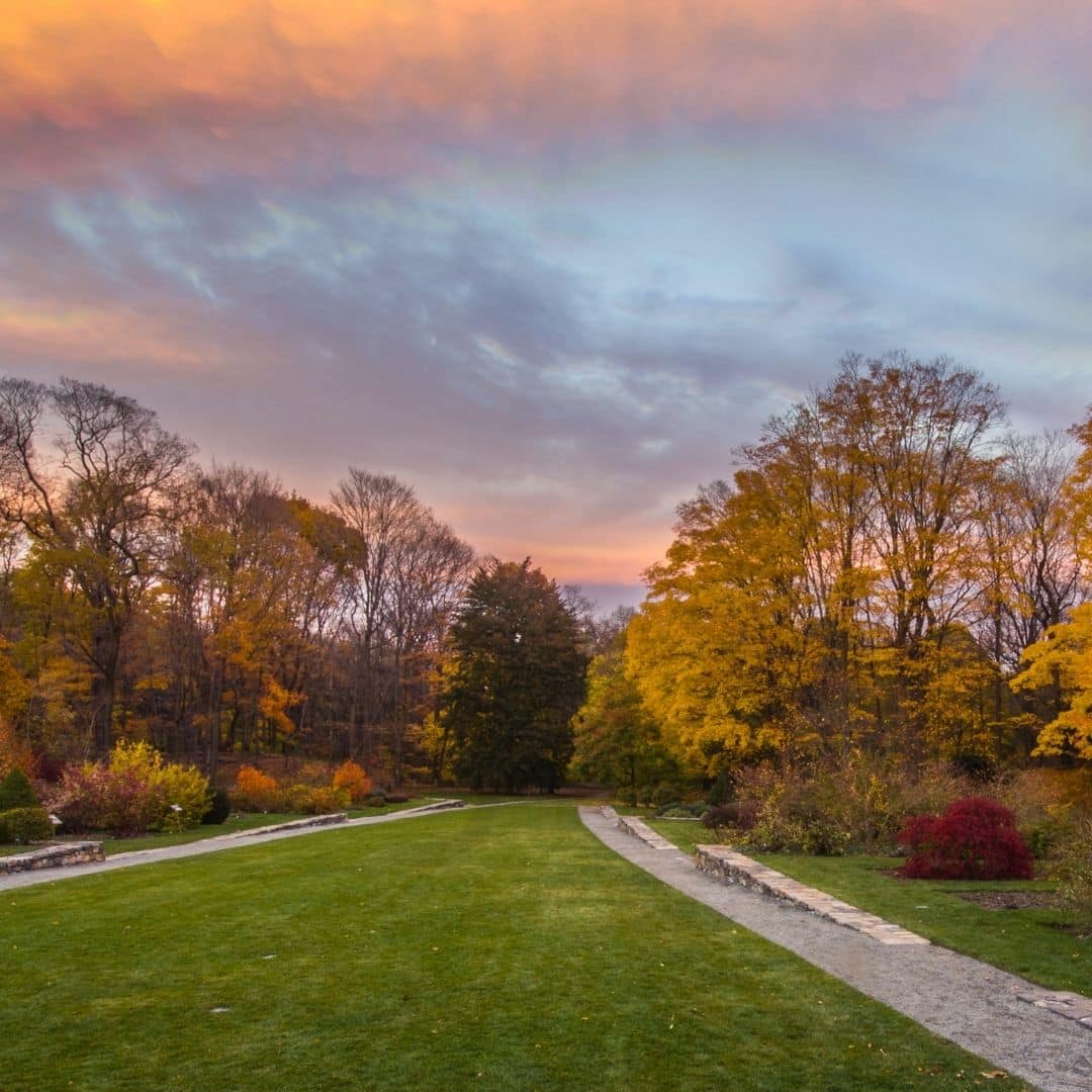 Photo of Fall foliage at the Harvard Arnold Arboretum.