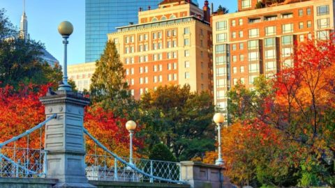 Boston in the Fall: 11 Best Things to Do