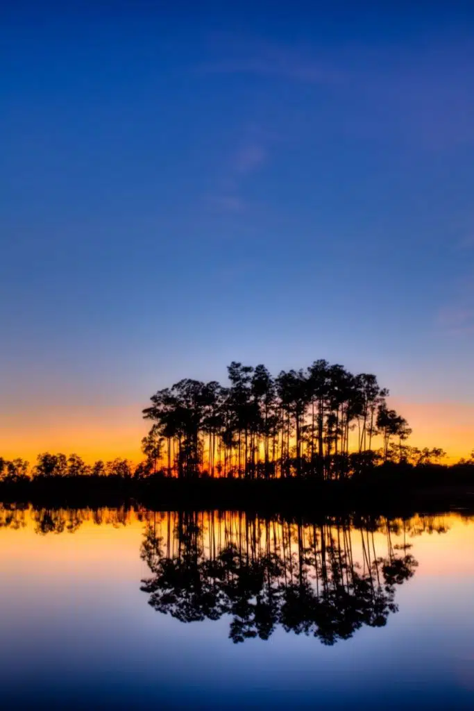 Photo of the sun setting behind trees and coastline with water in the foreground at Everglades National Park.