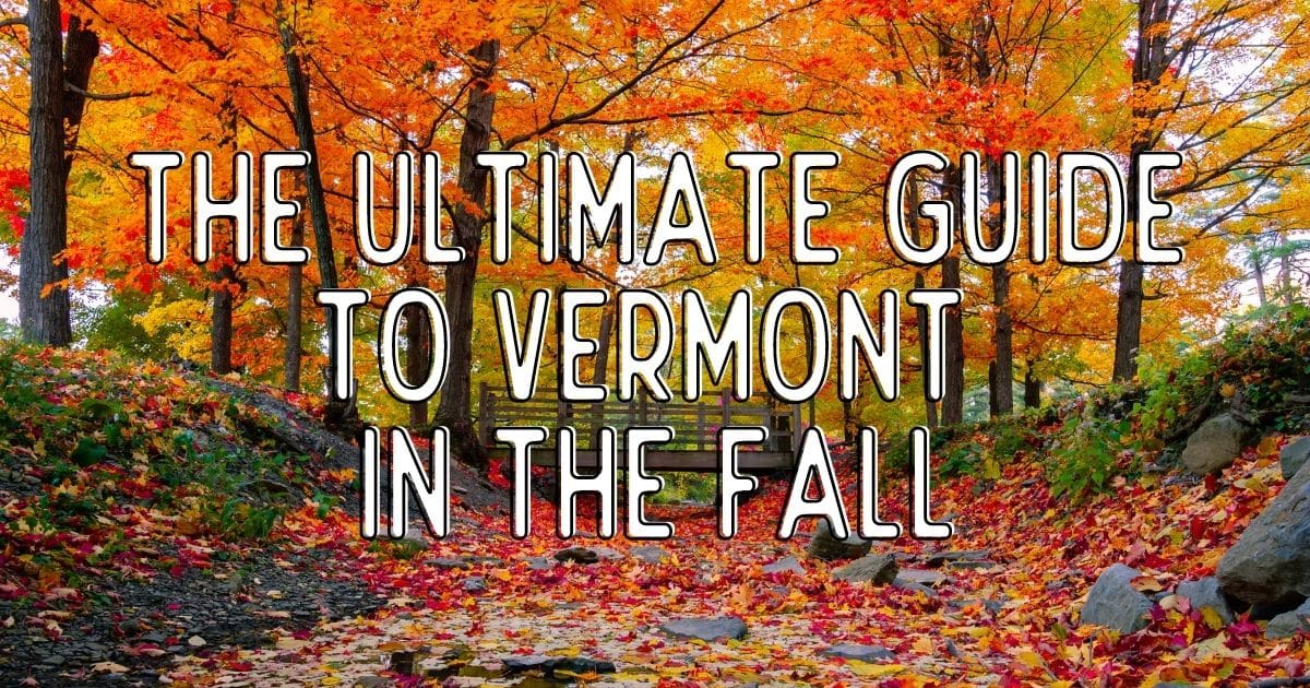 Photo of a tiny footbridge crossing a dried up creek with Autumn leaves and the ground and trees colored in red, orange, and yellow. Text in the middle reads 