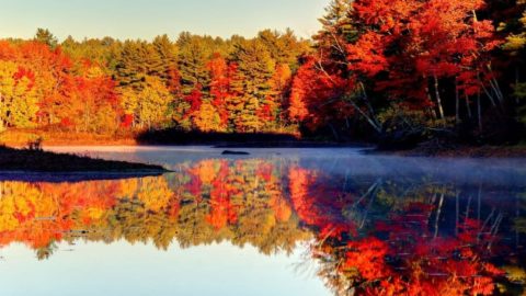 New Hampshire in the Fall: Everything You Must Know