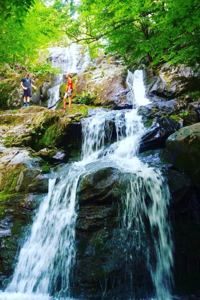 Photo of a small waterfall in a wooded area at Shenandoah National Park.