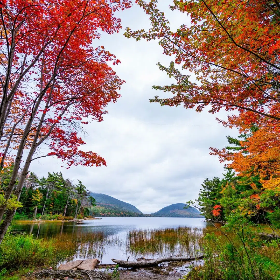 Photo of the Bubbles Mountains through trees with leaves turning red and orange.