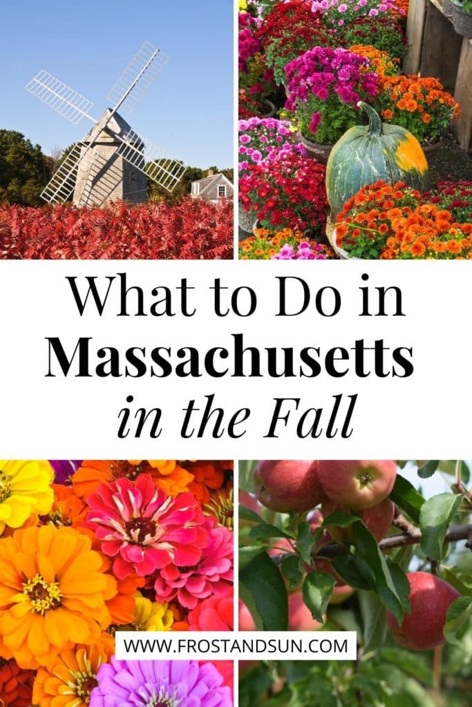 Grid of 4 photos, from L-R clockwise: Photo of a windmill with bushes with red leaves in the foreground, closeup of a pumpkin set amidst colorful mum bushes, closeup of an apple tree, and closeup of colorful mums. Text in the middle reads "What to Do in Massachusetts in the Fall."