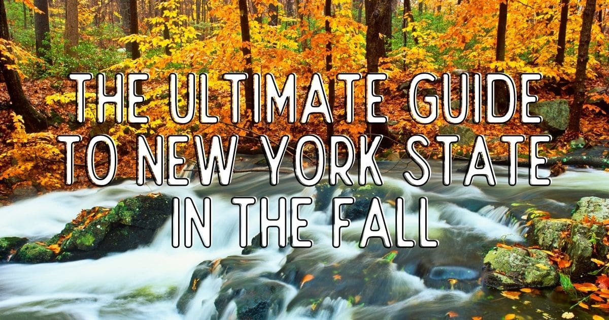15 Best Things to Do in New York in the Fall (Updated 2025)
