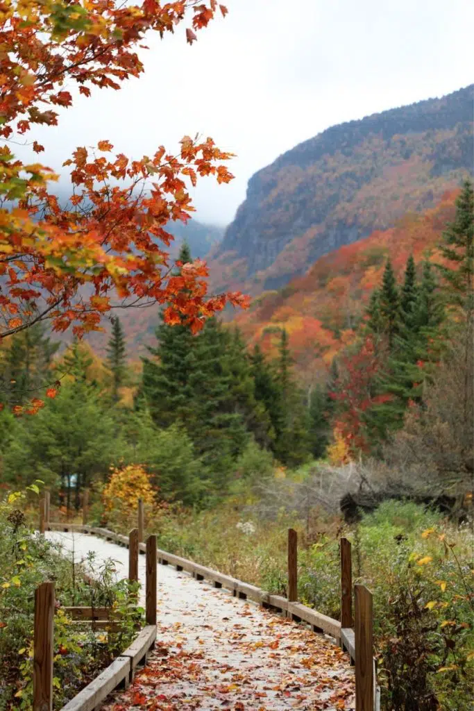 Photo of a wooden boardwalk running through Smugglers Notch State Park with Fall foliage.