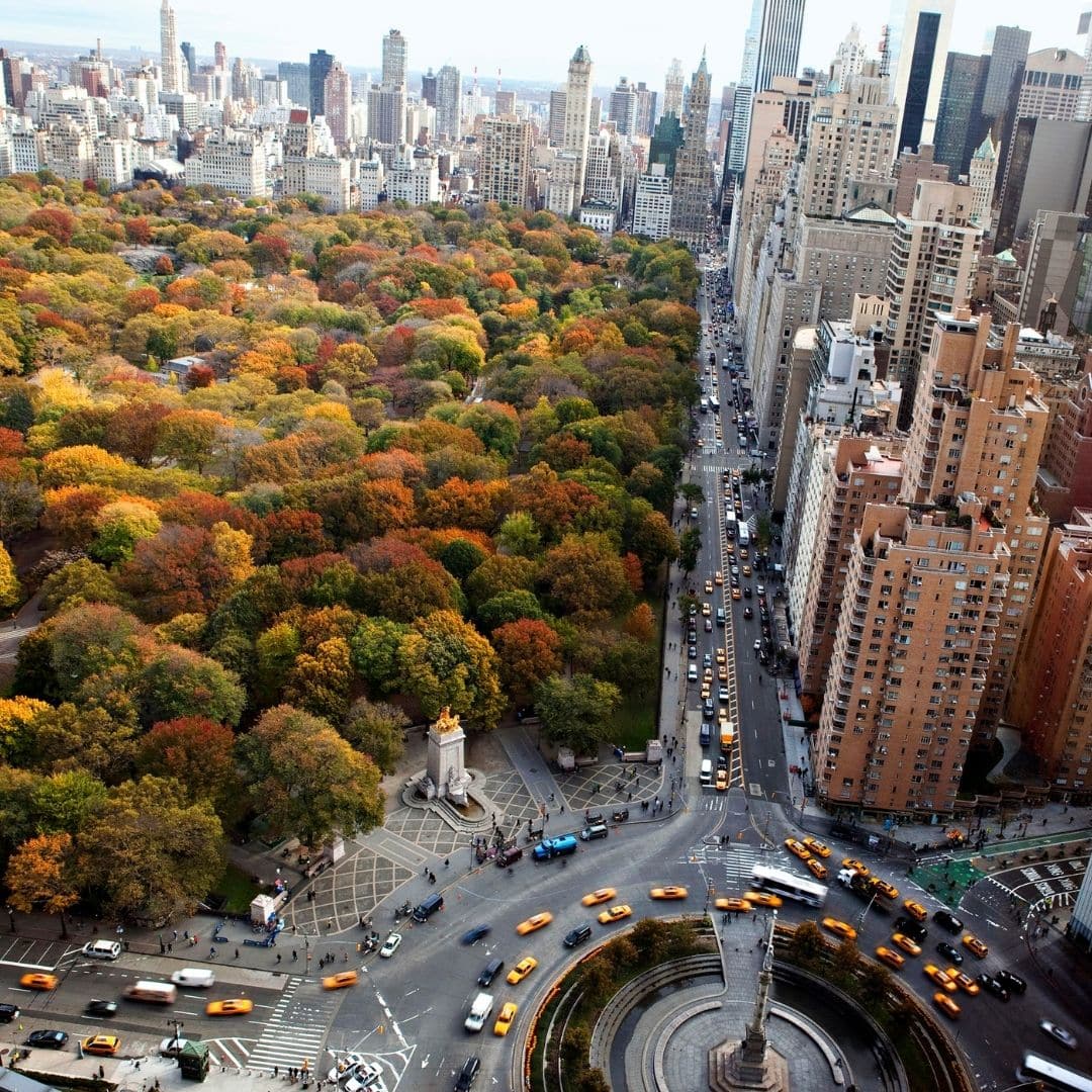 Aerial view of Central Park in the Fall.