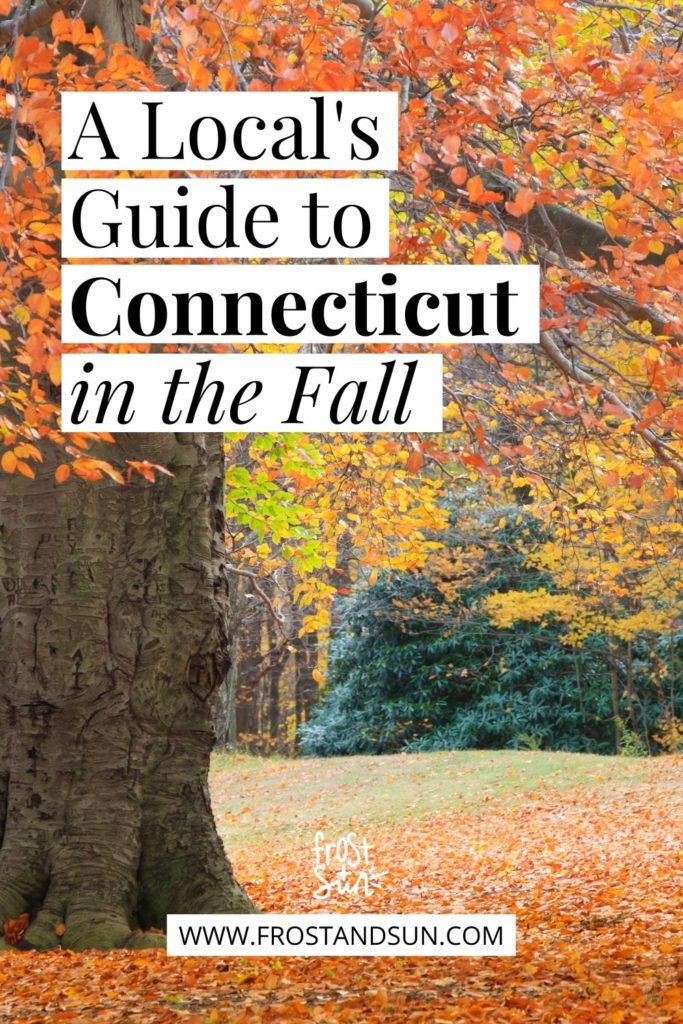 Closeup of a large tree with dark orange leaves with more orange leaves all over the ground. Text overlay reads "A Local's Guide to Connecticut in the Fall."