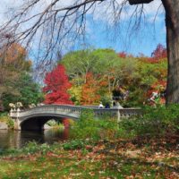 Photo of a bridge in Central Park with Fall colors surrounding it.