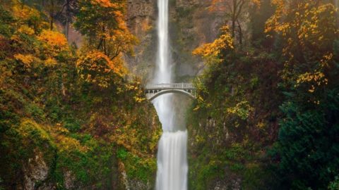 Fall in the USA: Best Places to Visit