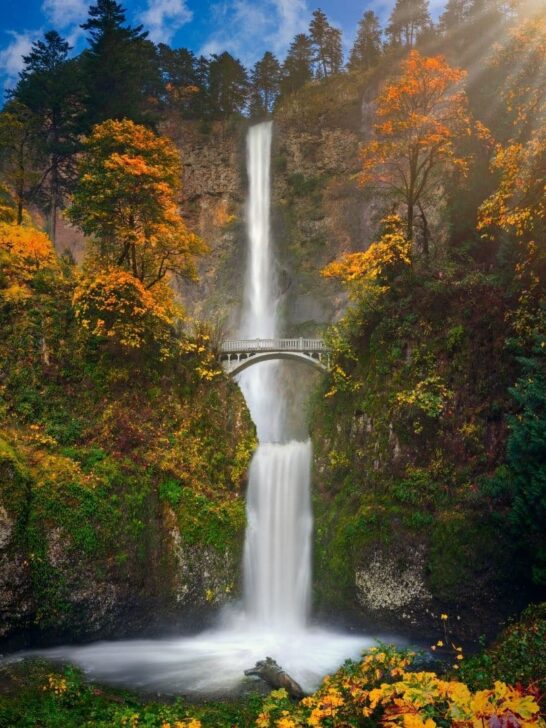 Fall in the USA: Where to Travel for Fall Foliage & Spooky Vibes