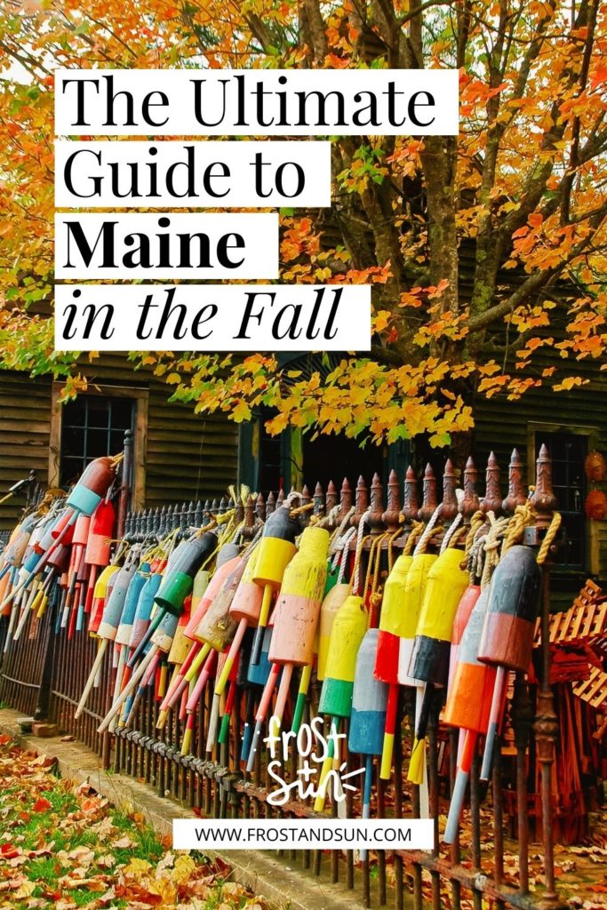 Photo of a tree with yellow and orange leaves. A fence below it is decorated with colorful buoys. Text above the photo reads "The Ultimate Guide to Maine in the Fall."