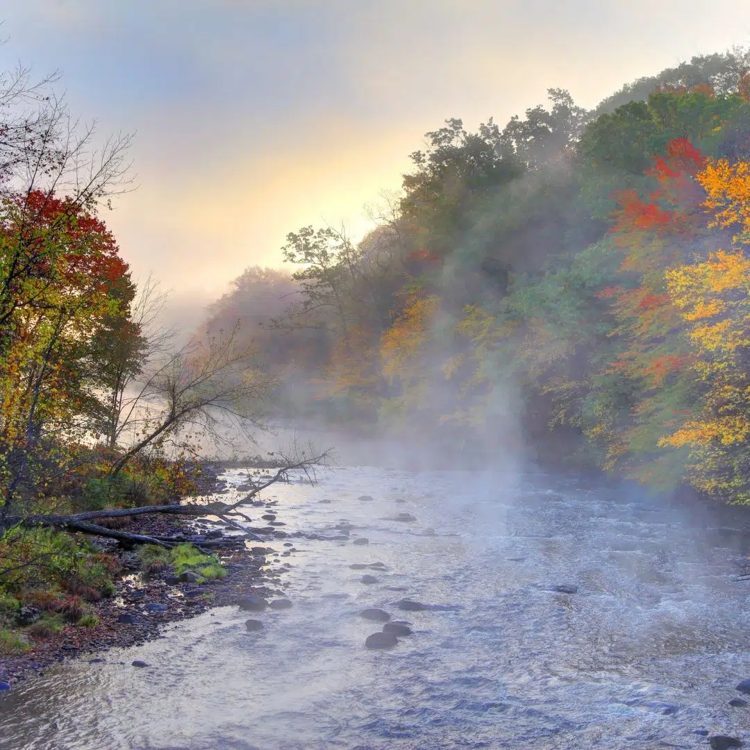 Photo of a river lined with Fall foliage along the Mohawk Trail in Massachusetts.