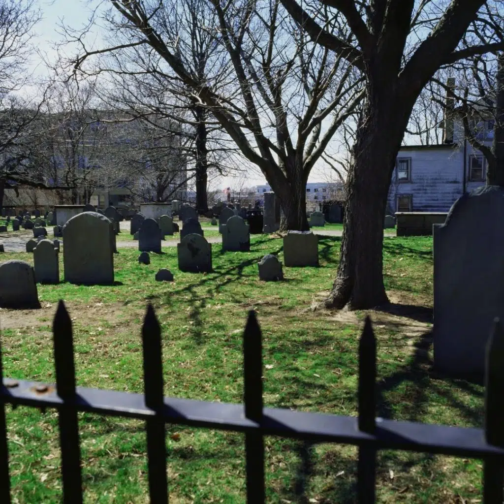 Photo of an old cemetery with bare trees.