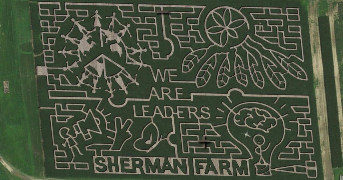 Aerial view of the Sherman Farm Corn Maze for 2021.