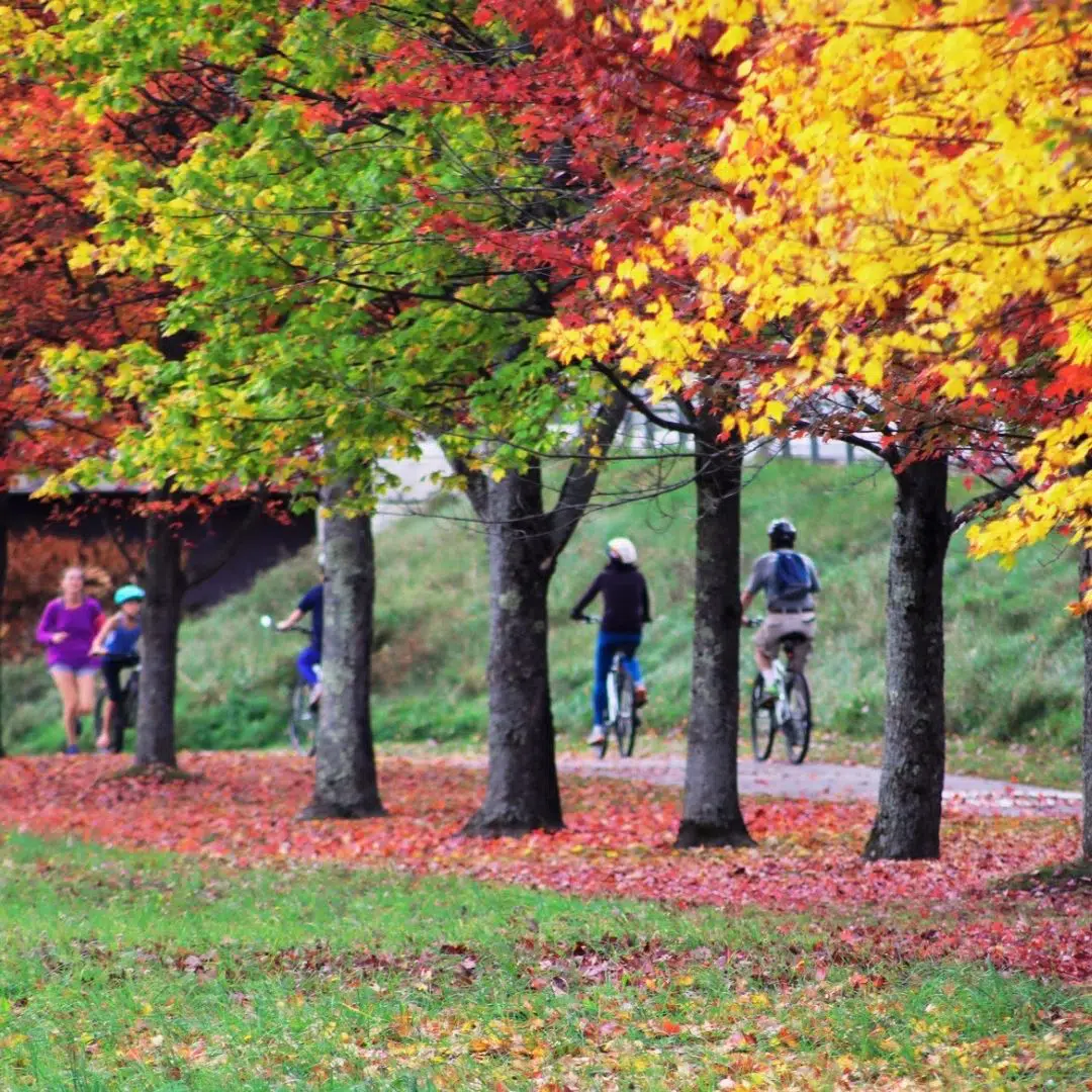 Photo of runners and bikers on the Stowe VT recreation path.