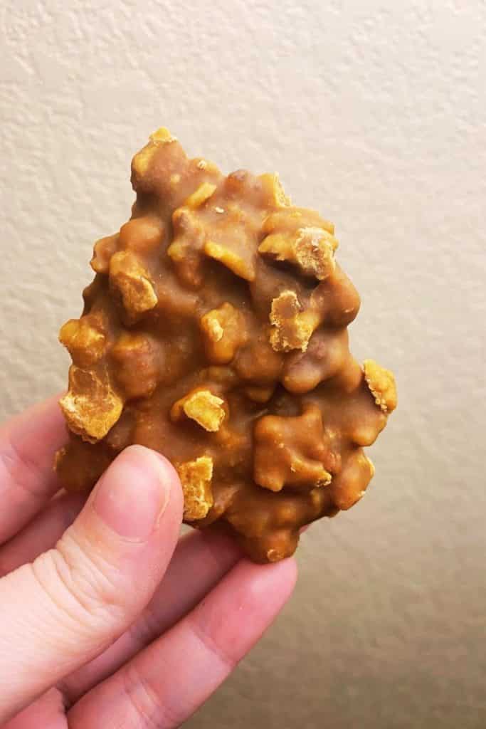 Photo of a hand holding a classic praline treat.