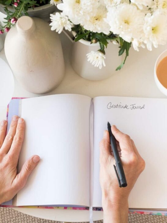 10 Best Manifestation Journals for Goals & Dreams