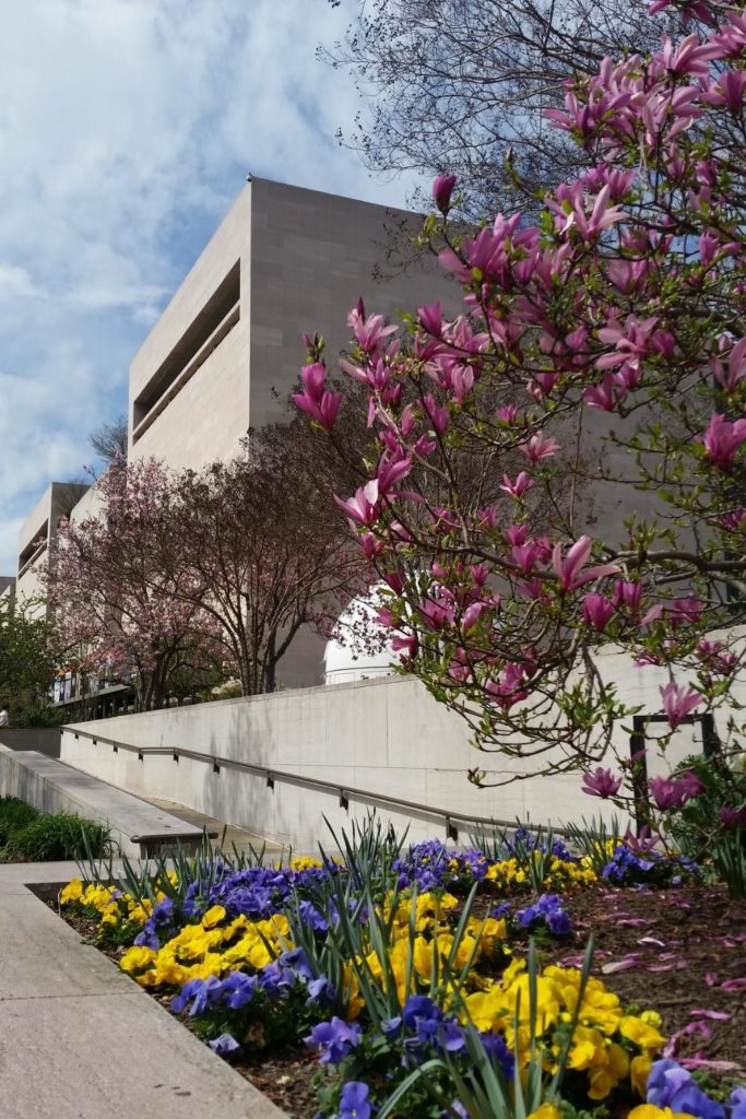 Photo of a museum in Washington DC