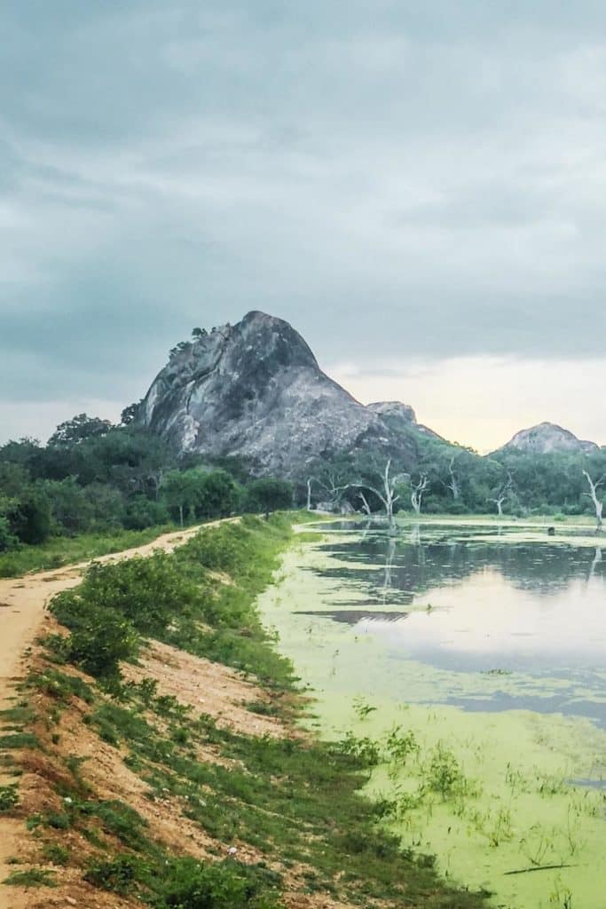 Photo of Yala National Park in Sri Lanka.