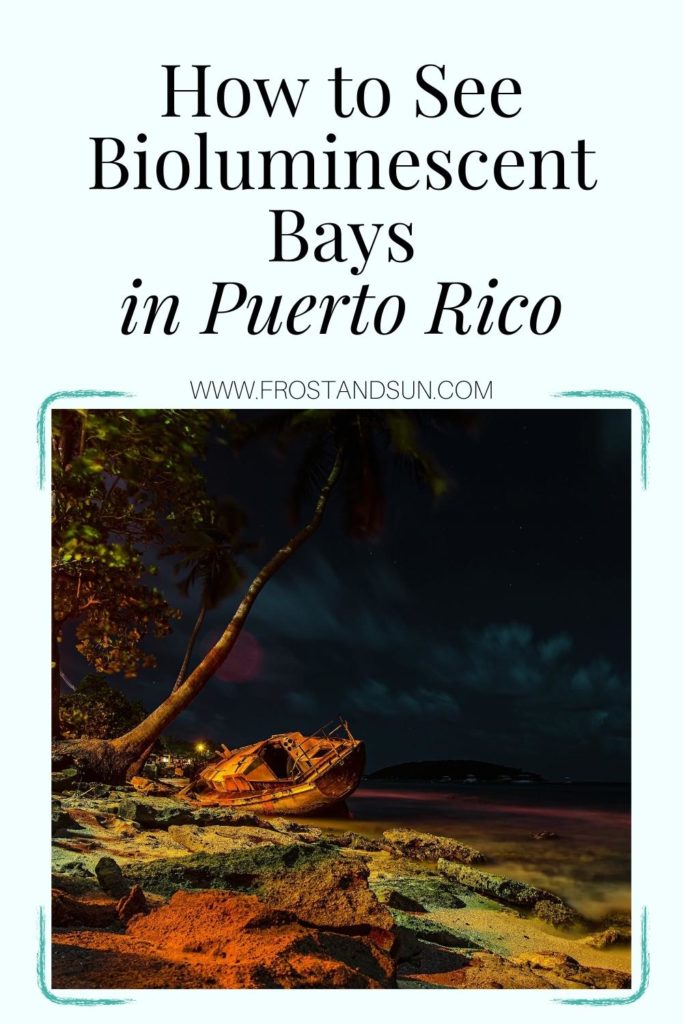 Photo of Vieques bioluminescent bay in Puerto Rico. Text above the photo reads "How to See Bioluminescent Bays in Puerto Rico."
