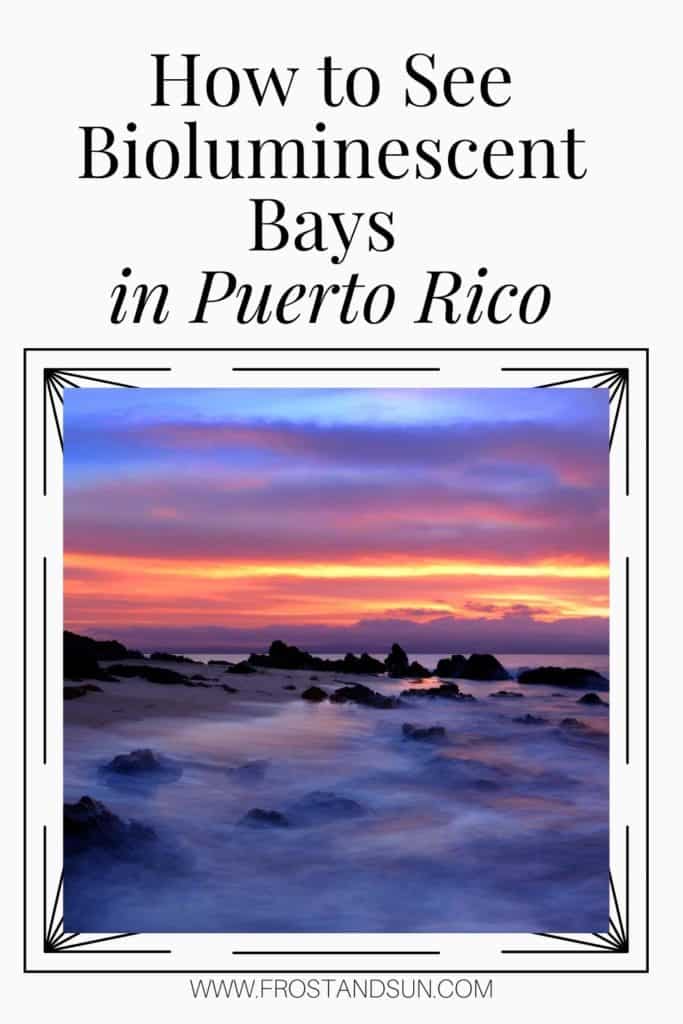 Photo of a bay in Vieques, Puerto Rico. Text above the photo reads "How to See Bioluminescent Bays in Puerto Rico."