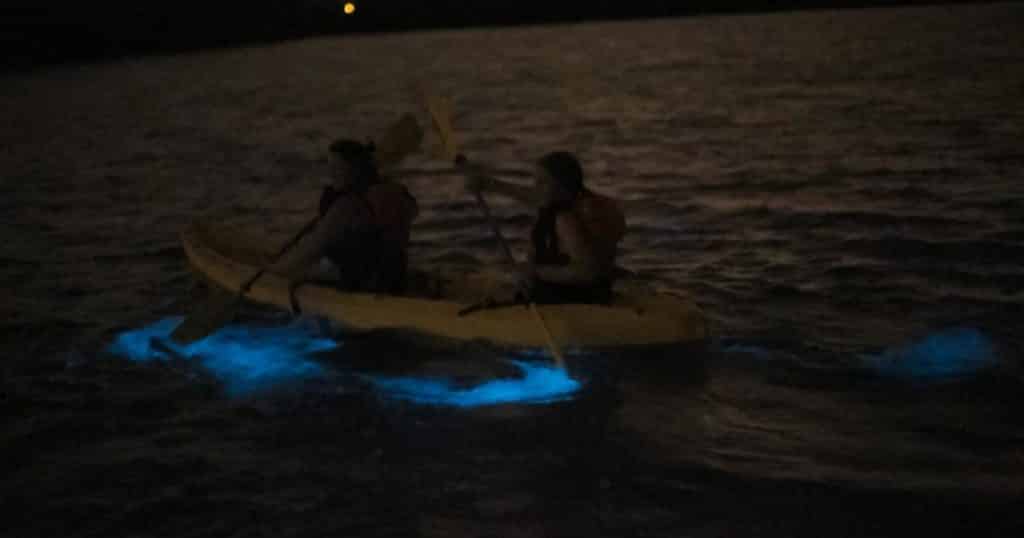Photo of 2 people kayaking in La Parguera Bioluminescent Bay in the dark.