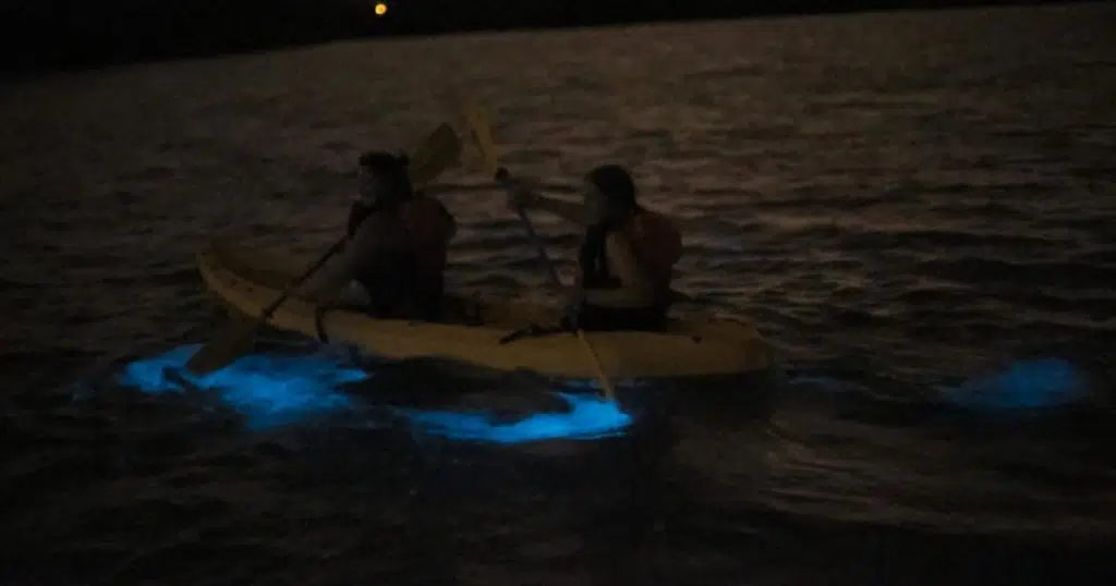 Photo of 2 people kayaking in La Parguera Bioluminescent Bay in the dark.