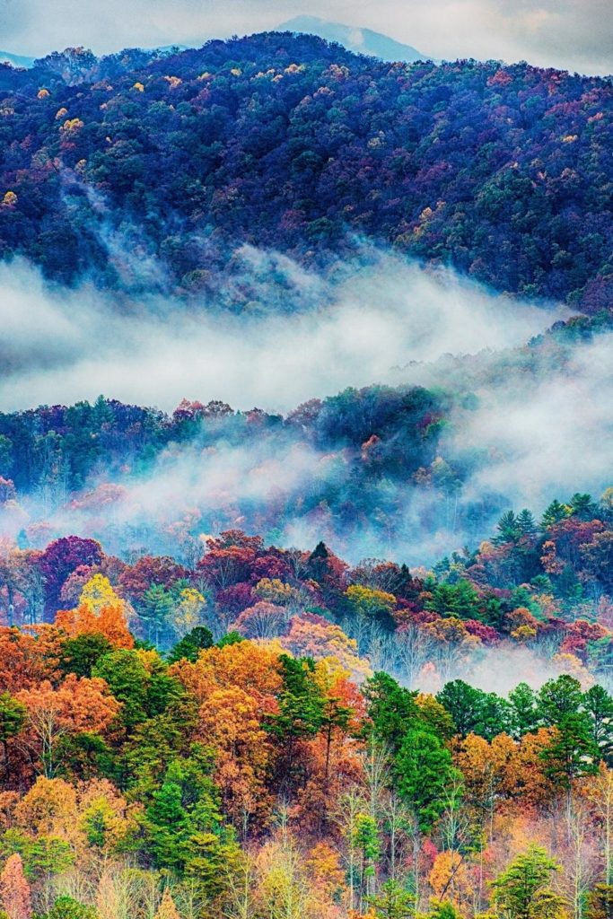 Photo of fog and foliage covered Great Smoky Mountains in North Carolina and Tennessee.