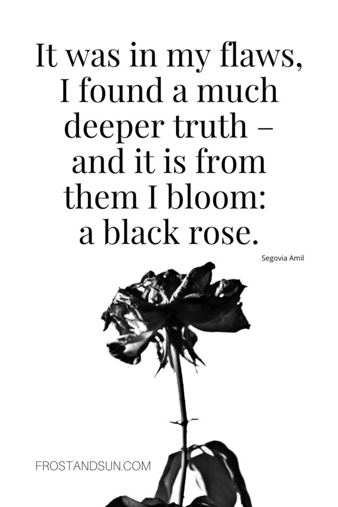 Black and white photo of a dying rose. A quote from Segovia Amil above reads "It was in my flaws, I found a much deeper truth - and it is from them I bloom: a black rose."