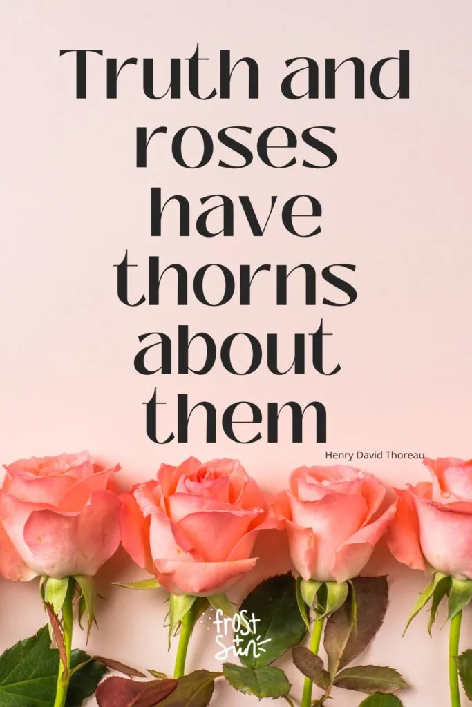Photo of pink roses lined up in a row. A quote from Henry David Thoreau above it reads "Truth and roses have thorns about them."