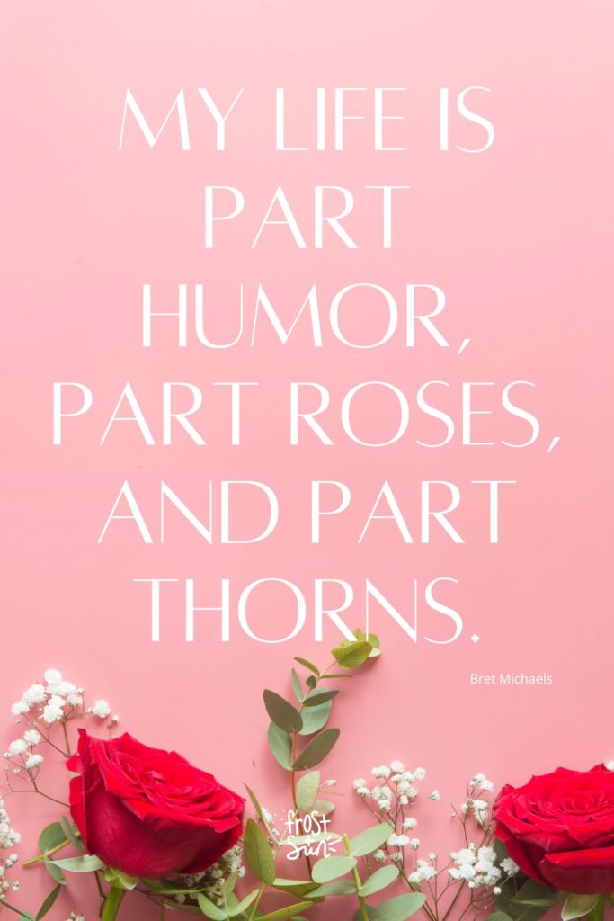 Photo of red roses and baby's breath against a pink background. A quote from Bret Michaels above the photo reads "My live is part humor, part roses, and part thorns."