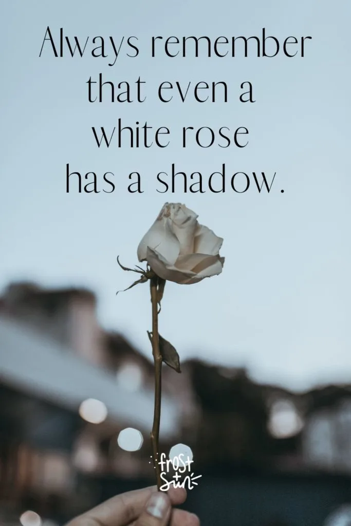 Photo of a white rose against a cityscape. Text above it reads "Always remember that even a white rose has a shadow."