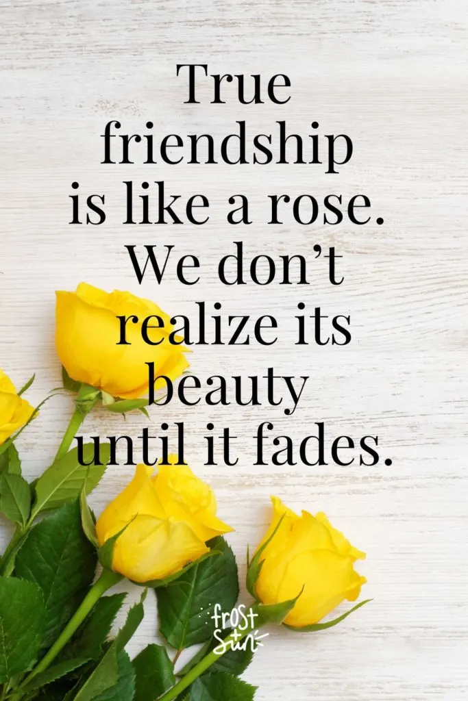 Closeup of yellow roses on a wooden background. A quote above reads "True friendship is like a rose. We don't realize its beauty until it fades."