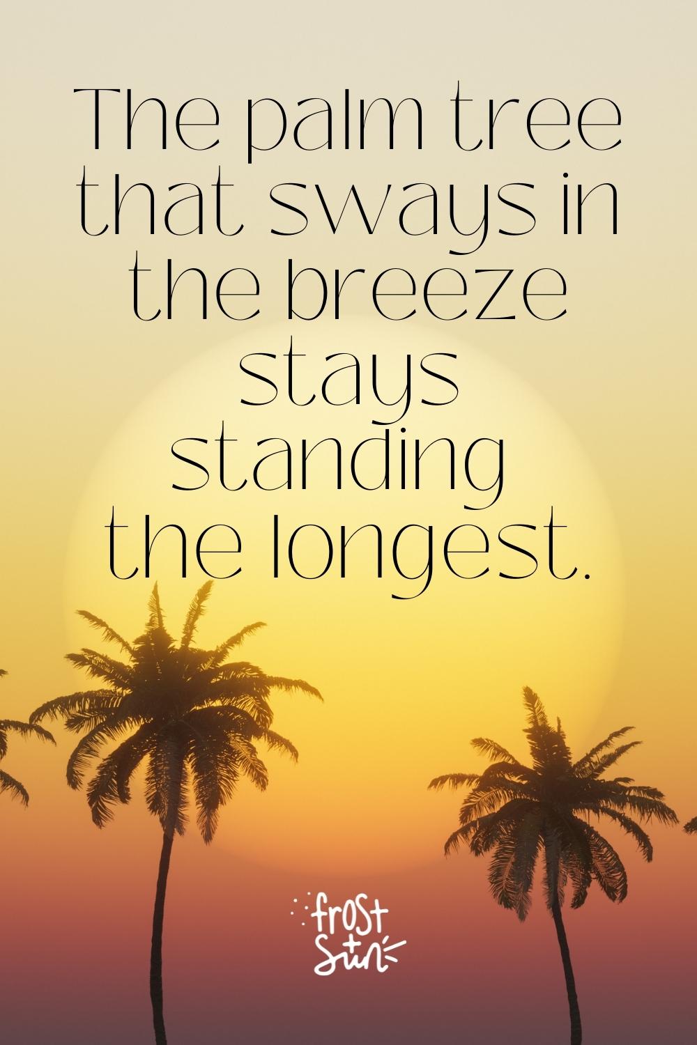 50 Best Palm Tree Quotes & Captions for Instagram