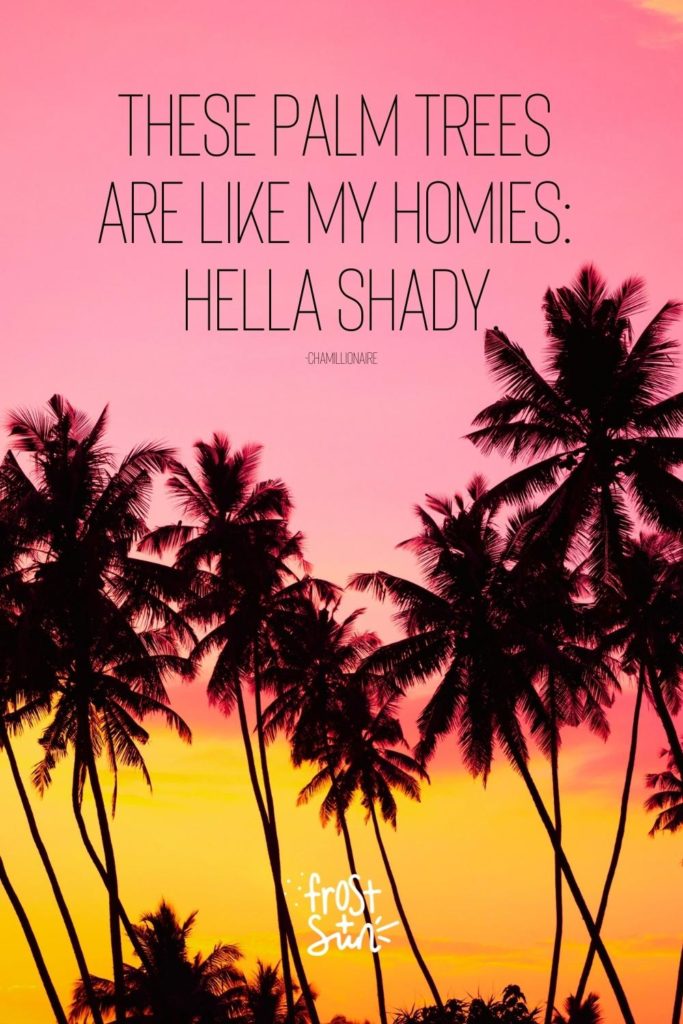 Photo of silhouetted palm trees. Text above the photo reads "These palm trees are like my homies: hella shady."
