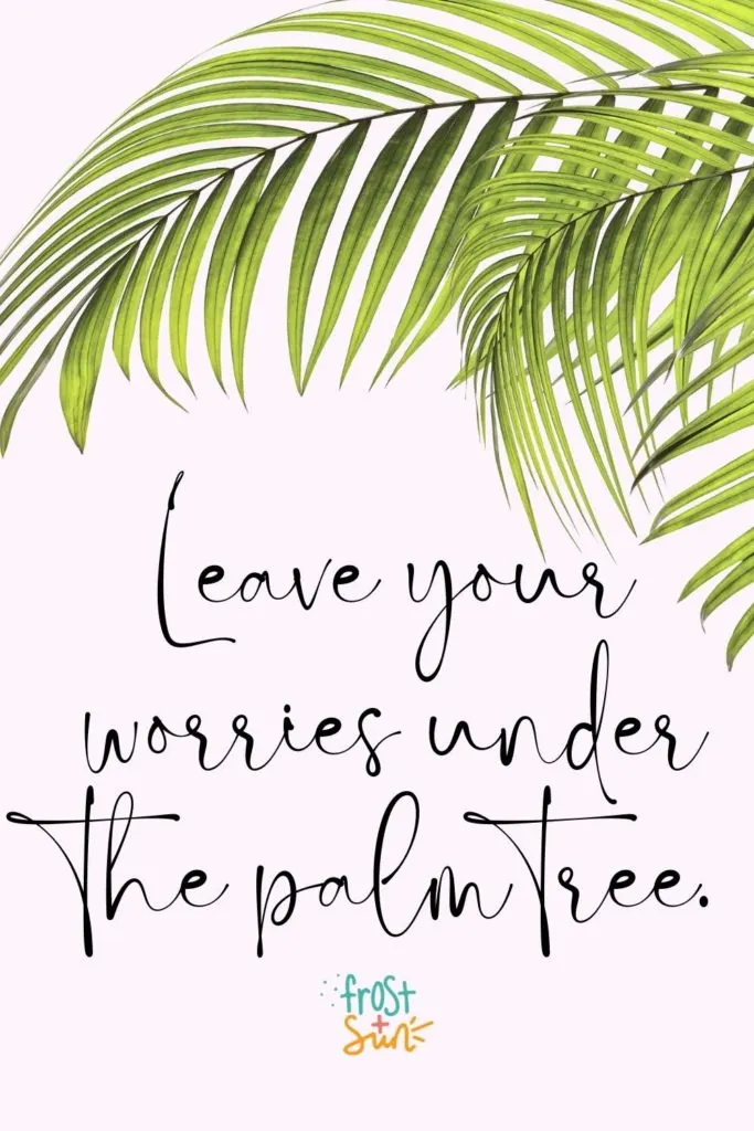 Photo of a purple background with a palm leave in the foreground. Text overlay reads "Leave your worries under the palm tree."