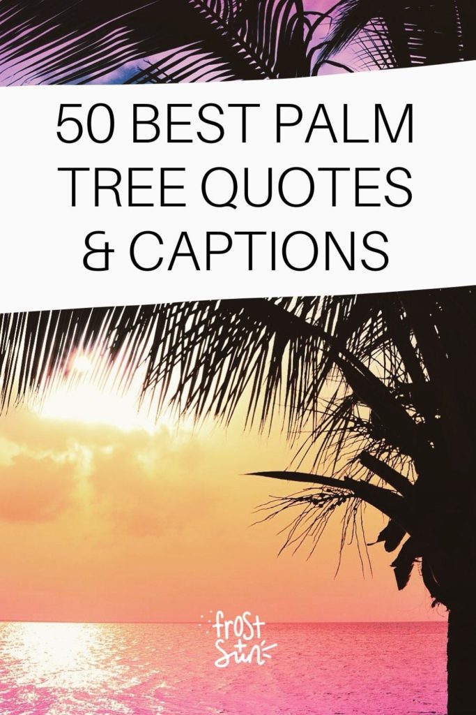 50 Palm Tree Quotes & Captions for Instagram in 2023