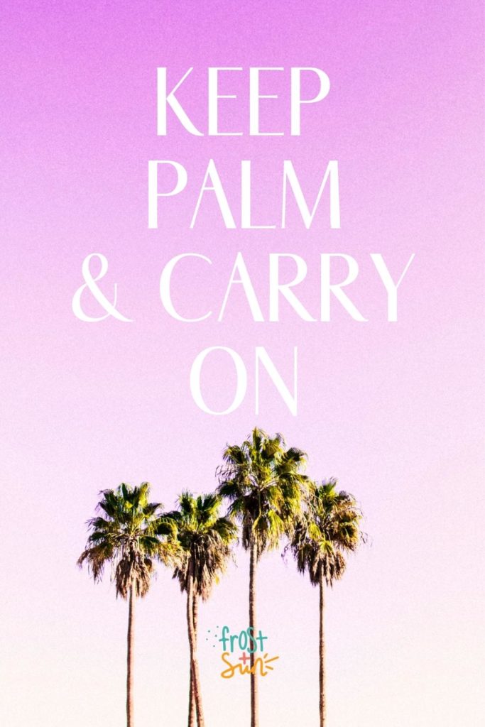 Photo of several palm trees with a purple background. Text above the photo reads "Keep palm & carry on."
