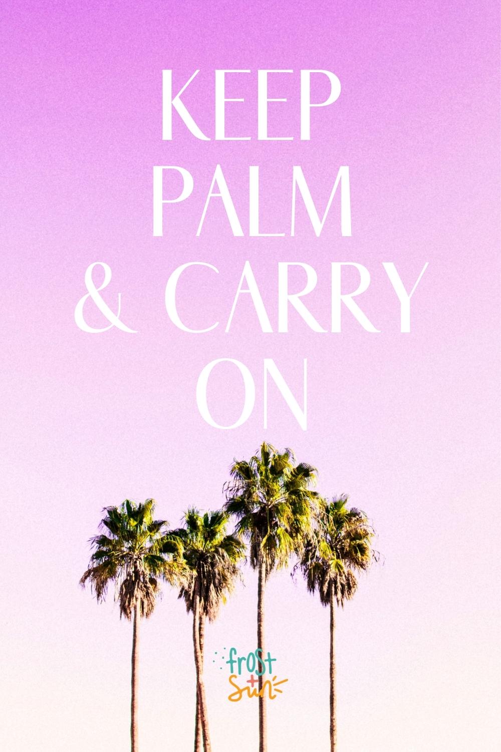 50 Best Palm Tree Quotes & Captions for Instagram