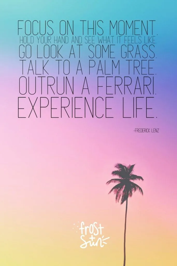 Photo of a lone palm tree with a pastel rainbow background. Above the photo is a quote from Frederick Lenz.