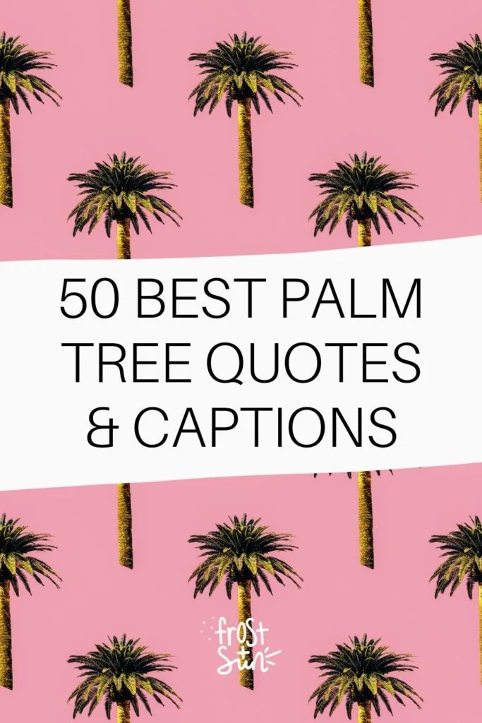 Graphic with pink background and a repeated palm tree print. Text in the middle reads "50 Best Palm Tree Quotes & Captions."