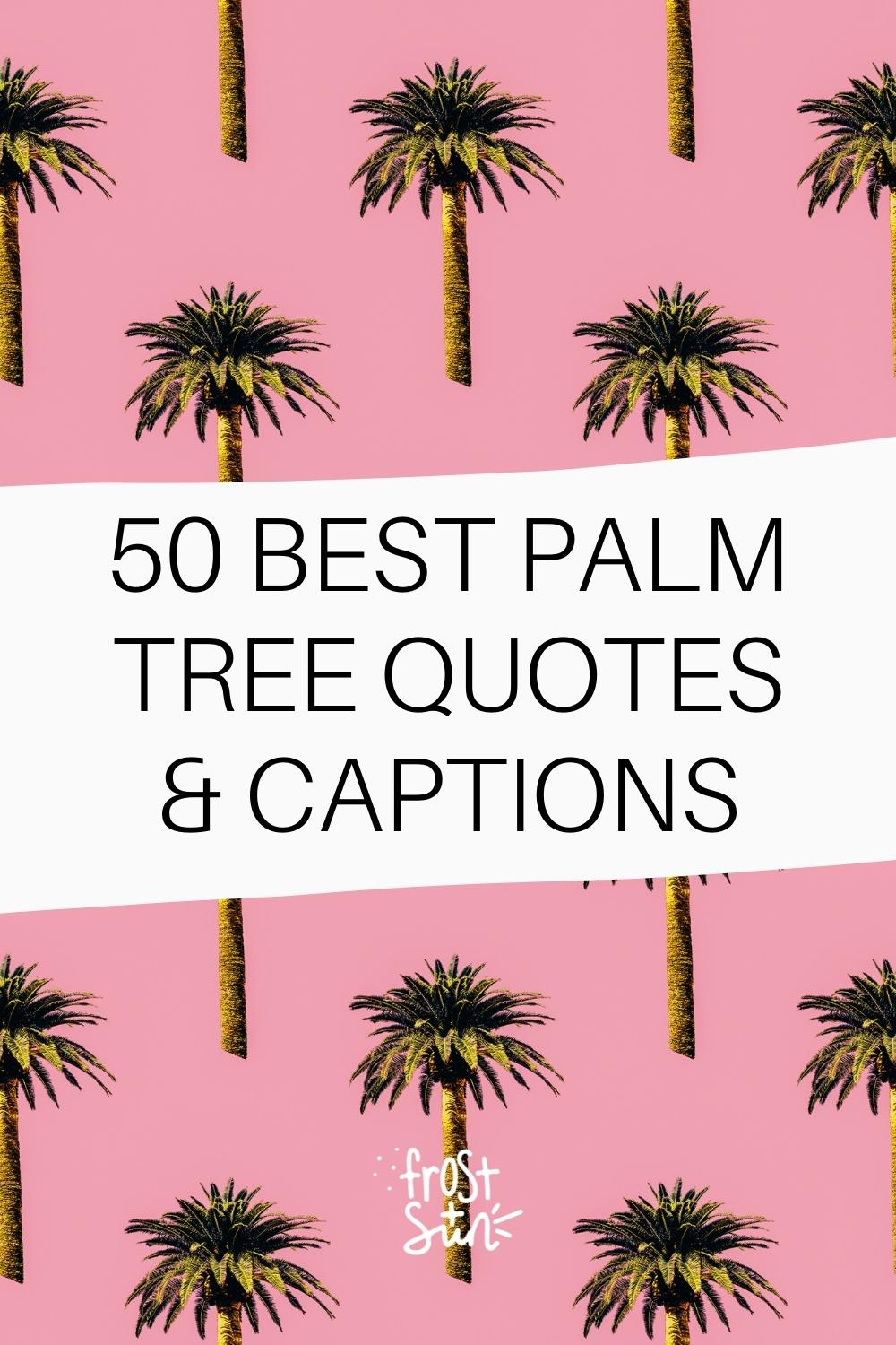 50 Best Palm Tree Quotes & Captions for Instagram