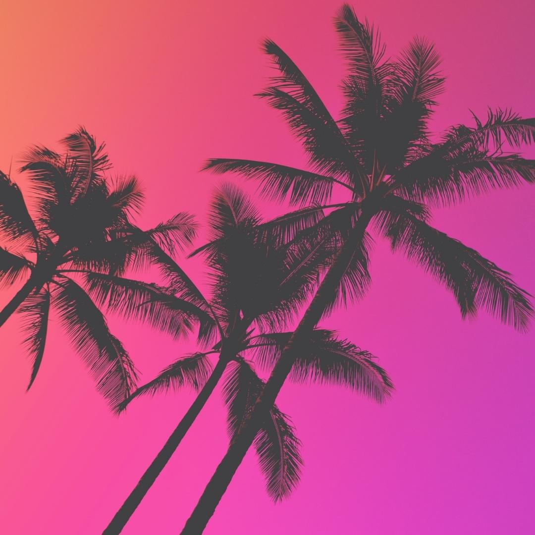 Photo of silhouetted palm trees with a red to violet ombre background.